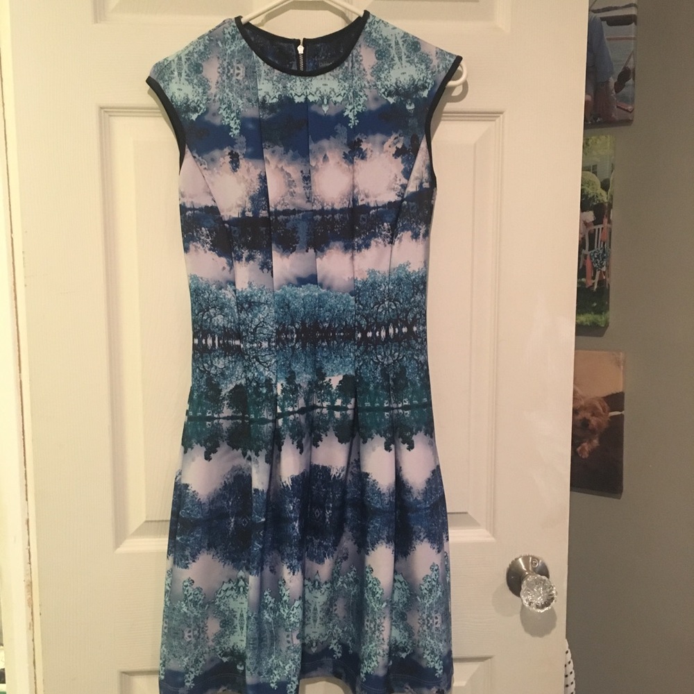 Gabby Style fitted A Line dress